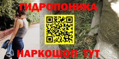 прущие грибы Обь