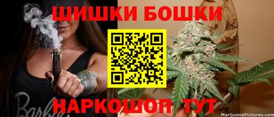 прущие грибы Обь