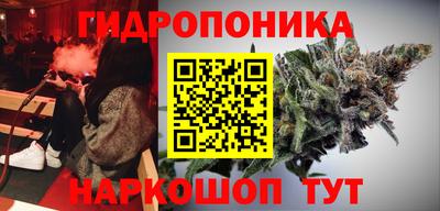 прущие грибы Обь