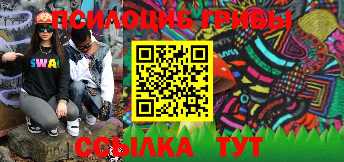 Псилоцибиновые грибы MAGIC MUSHROOMS Торжок
