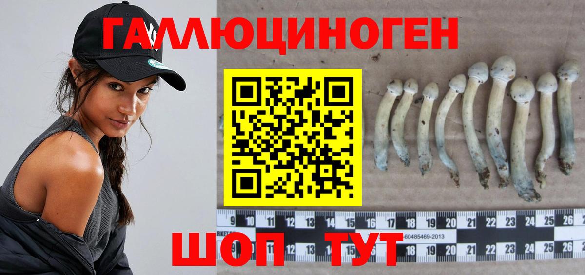 Торжок  Галлюциногенные грибы Cubensis  Вход с VPN 